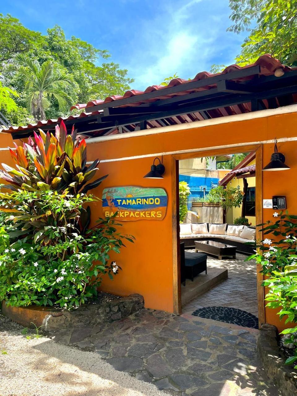 بيت شباب Tamarindo Backpackers المظهر الخارجي الصورة