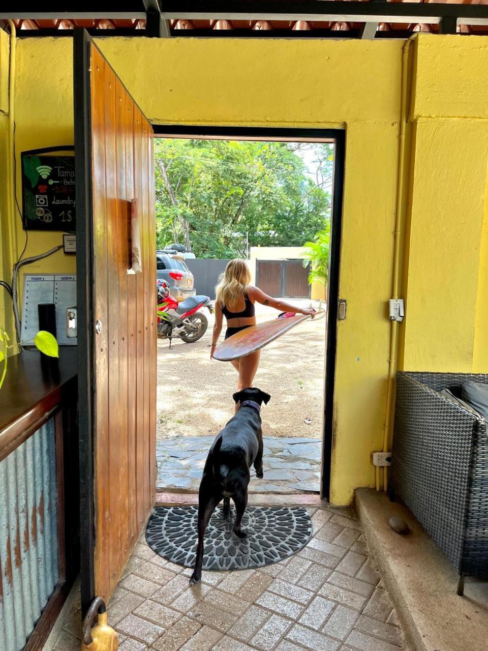 بيت شباب Tamarindo Backpackers المظهر الخارجي الصورة