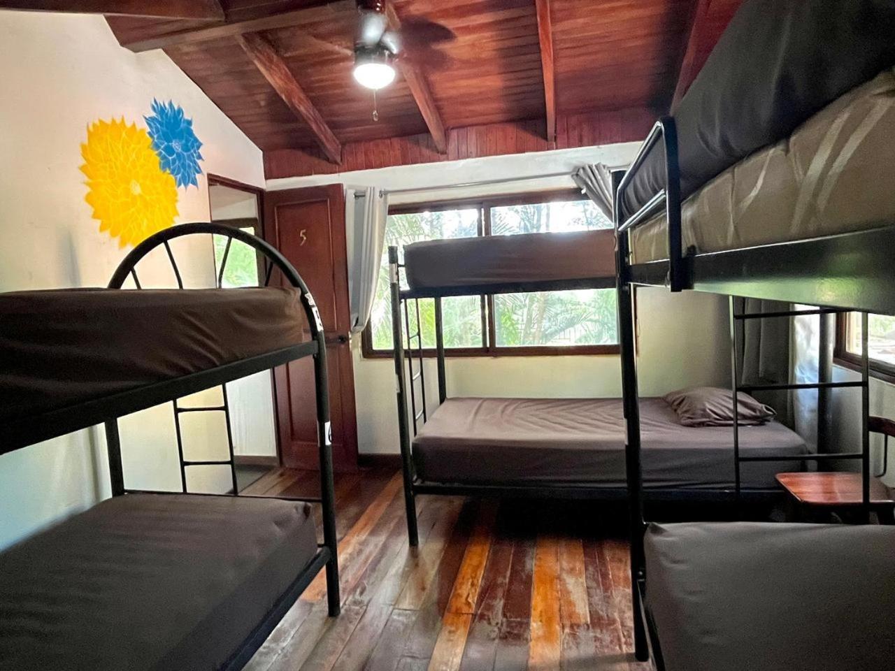 بيت شباب Tamarindo Backpackers المظهر الخارجي الصورة
