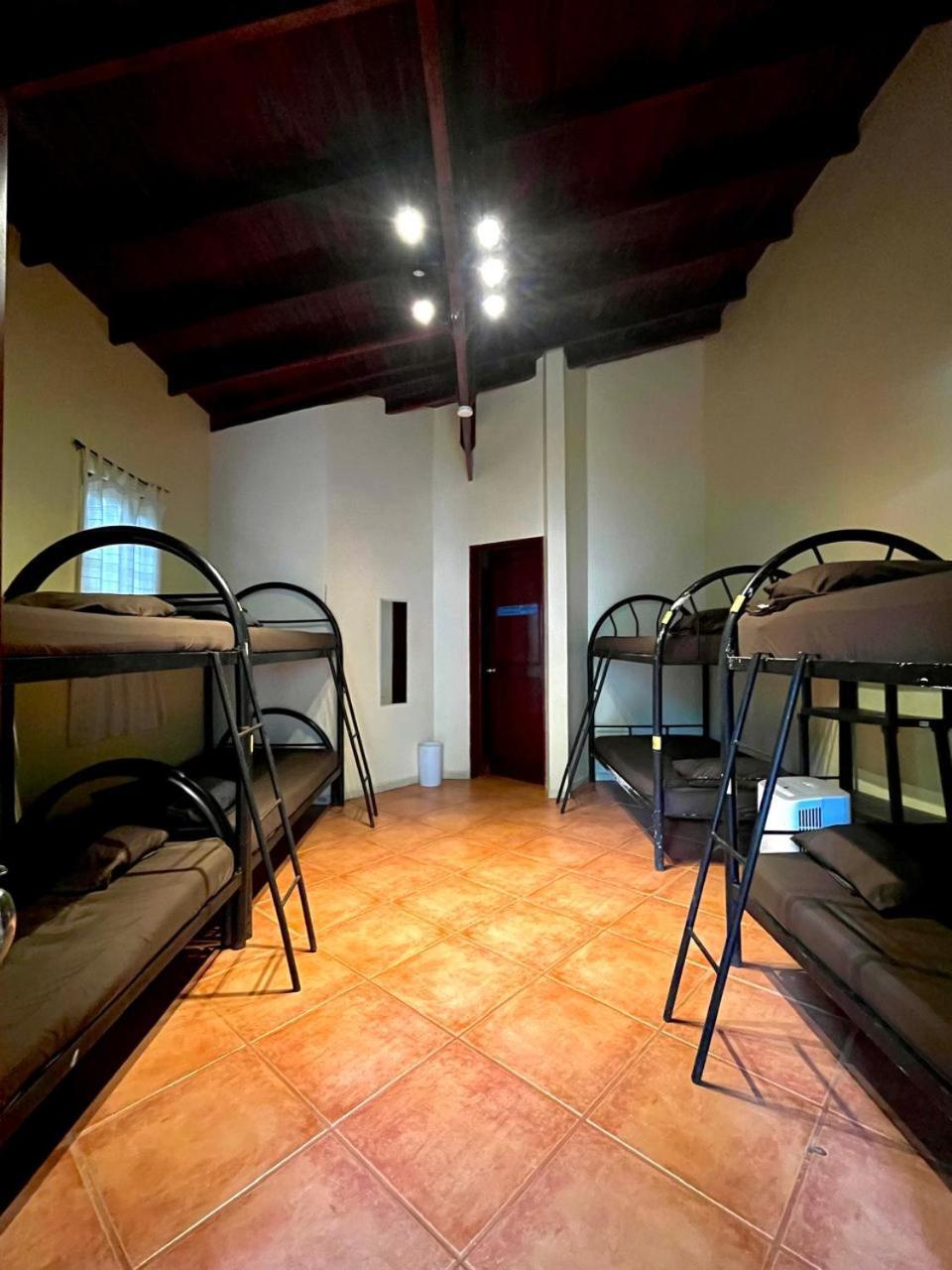 بيت شباب Tamarindo Backpackers المظهر الخارجي الصورة