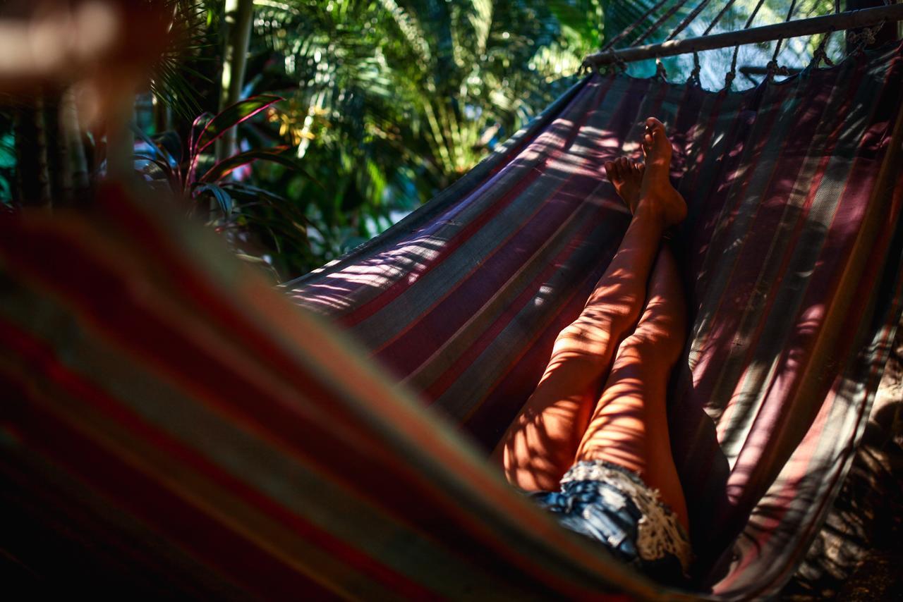 بيت شباب Tamarindo Backpackers المظهر الخارجي الصورة